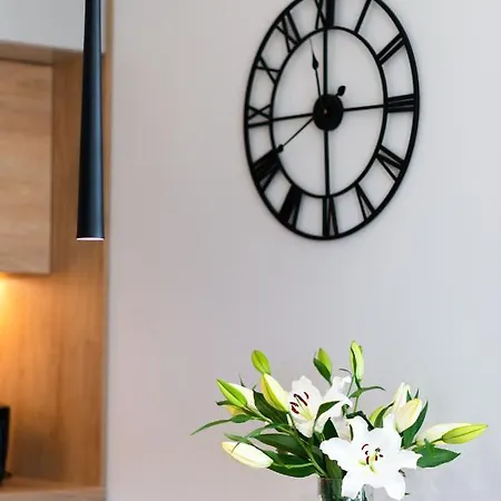 Apartament Baltica Portova