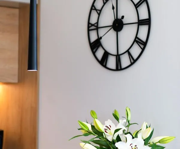 Apartment Baltica Portova